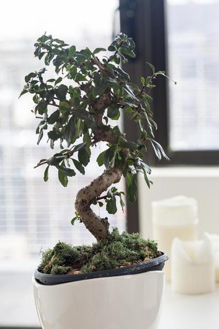 vacaciones pisos alquiler new york pisos apartamentos new york Piso de alquiler en Brooklyn New York diseño decoración interiores alquiler decoración minimalista usa new york brooklyn decoración en blanco cocinas oscuras cocinas modernas blog decoración nórdica 