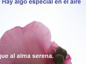 Aprender respirar ayudó mucho