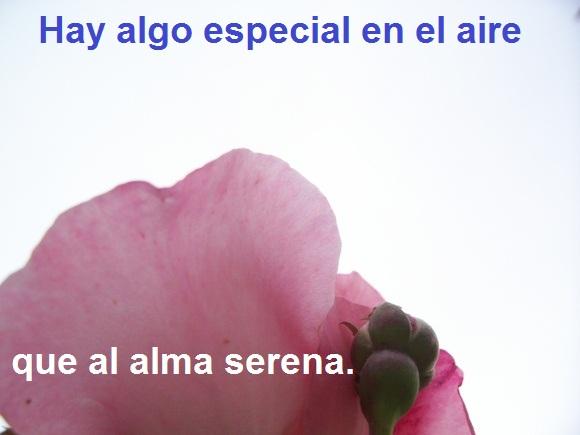 APRENDER A RESPIRAR ME AYUDÓ MUCHO