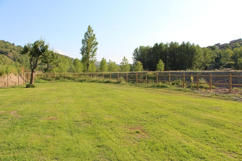 Corona de flores para el pelo