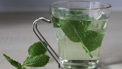 La Menta, Planta Aromática y sus Propiedades