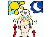 Veranear hacia adentro