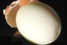 Información sobre como y de que forma cocinamos comida fresca para tus mascota los perros