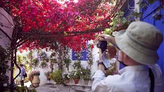 CÓRDOBA, IDENTIDAD GASTRONÓMICA