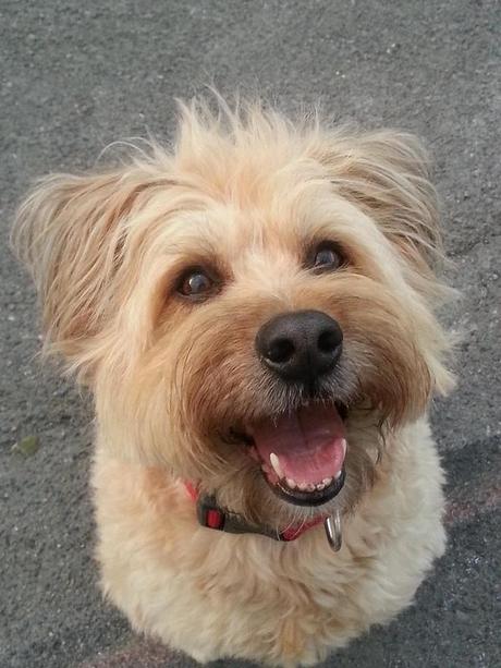 Androidografia Barakaldo 1414