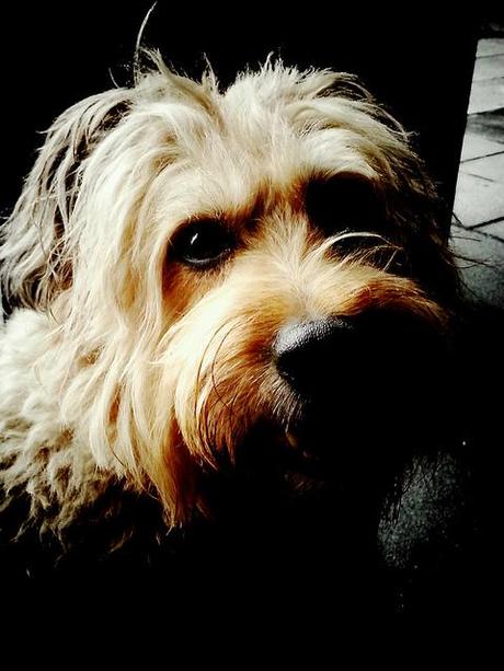 Androidografia Barakaldo 1413