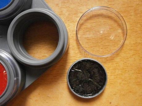 IFA Jesal-Extetic: Reunión de blogueras en Alicante.