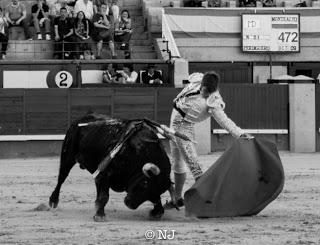 De becaria en Las Ventas