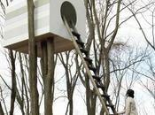 Arquitectura sorprendente para pájaros...