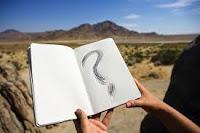 curiosidad, pregunta, ask, question, irlanda, bebida, cerveza, miel, luna de miel, libro guiness, cerveza negra