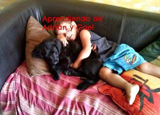 Os presento a Bambú