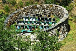 Bosque de Moal: en los confines de Muniellos