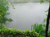 tips para visitar Xenotes