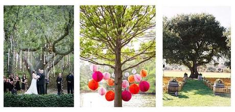 decoracion-altar Ceremonias al Aire Libre