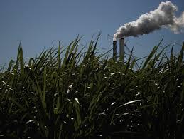 Multitud mata joven en Batey 8, provincia Independencia.