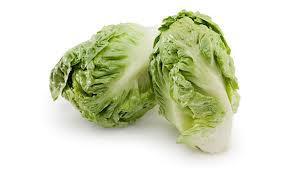 Conociendo las variedades de lechugas – Curiosidades gastronómicas