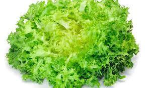 Conociendo las variedades de lechugas – Curiosidades gastronómicas