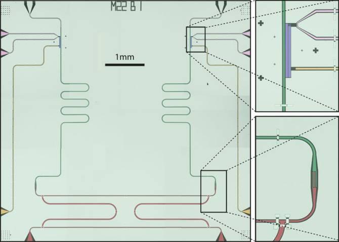 Efecto de la mecánica cuántica en las microondas