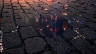 EL MUNDO RECIÉN LLOVIDO