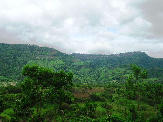 ¡Entre los cafetales de Jinotega! Primera parte