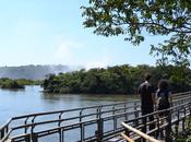 mono sobre hombro, Misiones