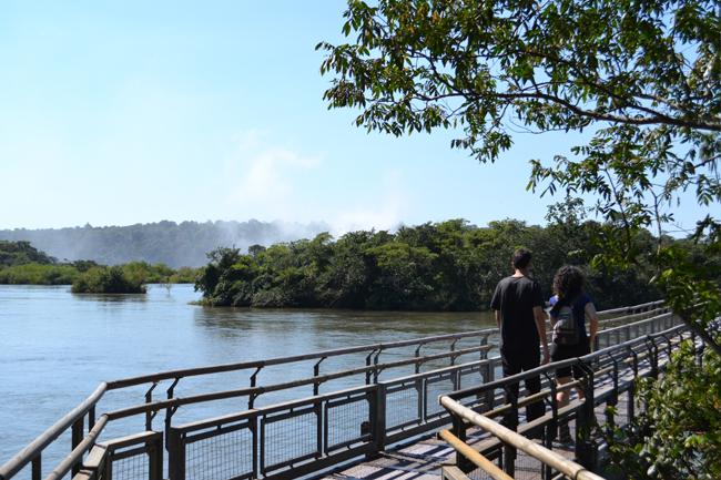 Un mono sobre mi hombro, en Misiones