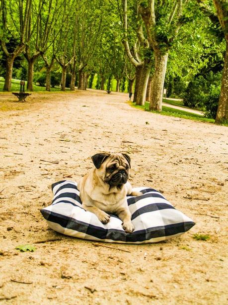 Primavera en bicicleta