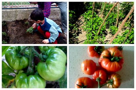 Los niños Si! comen verduras