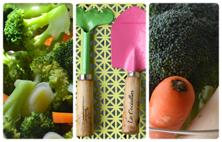 Salmon gratinado con verduras light ( bajo en calorias )