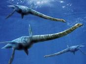 Curiosidades: Plesiosaurus'