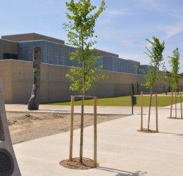 ¿Nos vamos de senderismo? Ejea y sus pueblos.