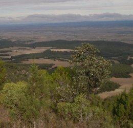 ¿Nos vamos de senderismo? Ejea y sus pueblos.