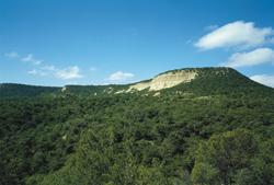 ¿Nos vamos de senderismo? Ejea y sus pueblos.