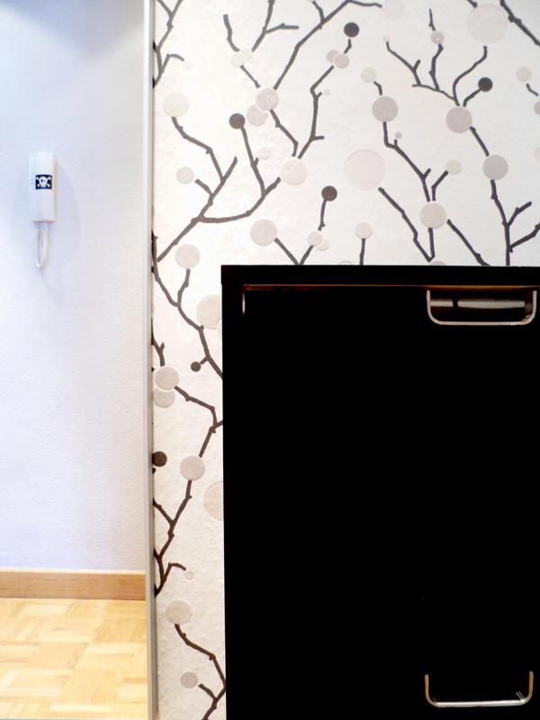 OPERACIÓN MAKEOVER Nº 1, 2 Y 5: LA ENTRADA