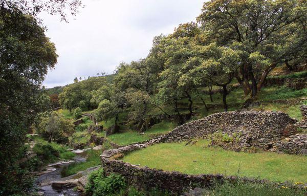 Paisaje verde en las Hurdes.