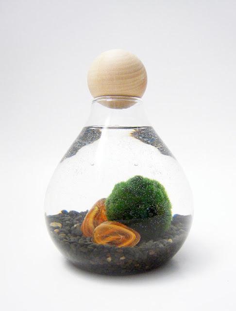 BOLAS DE MADERA / WOODEN BALLS