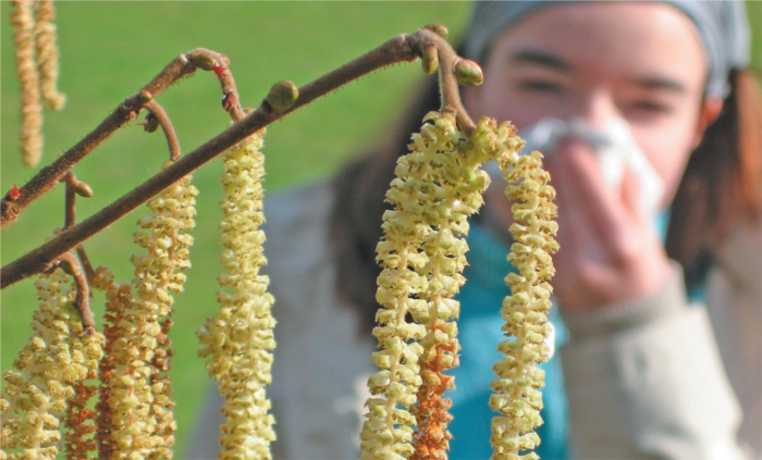 alergias primaverales