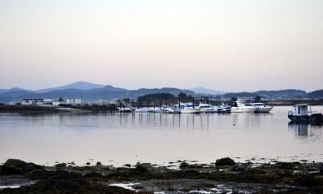 Outfit Low Cost: Queen Bee