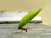 Lecciones Vida: Poder Persistencia