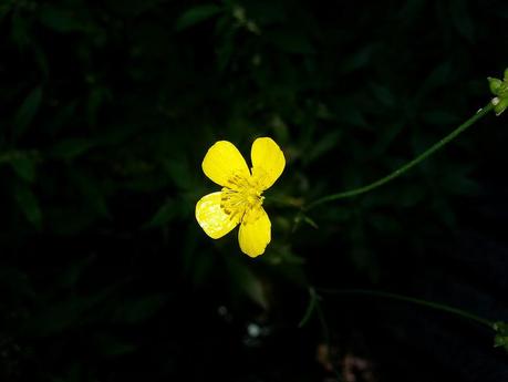 Androidografia Barakaldo 1421