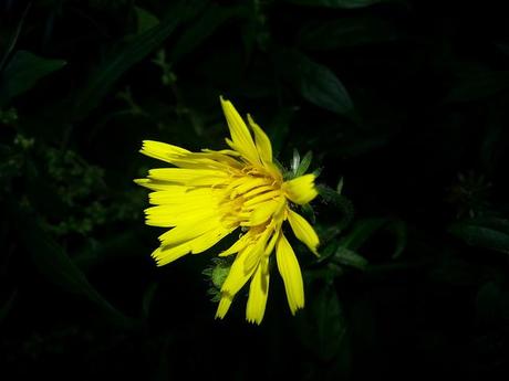 Androidografia Barakaldo 1419