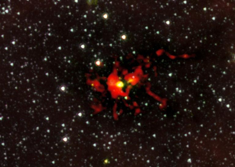 ALMA muestra un gigantesco embrión de estrella