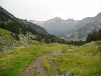 Aromas de mi tierra y esencias de añoranza; camino p...