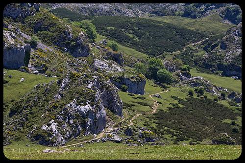 Lagos de Covadonga