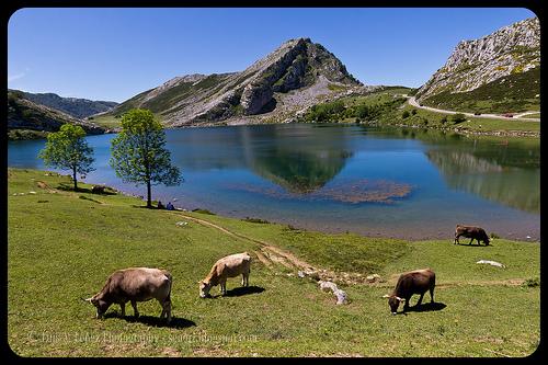 Lago Enol, Covadonga
