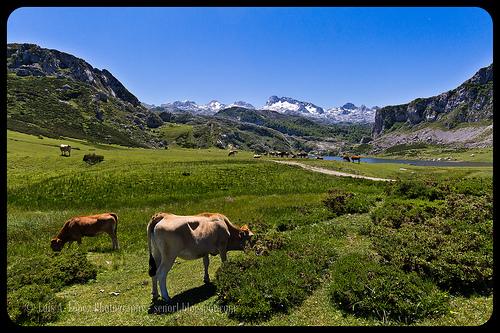 Lagos de Covadonga, Asturias
