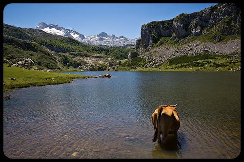 Lagos de Covadonga, Asturias