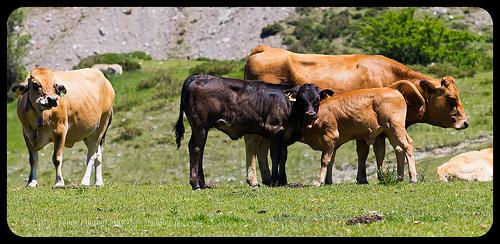 Lagos de Covadonga, Asturias