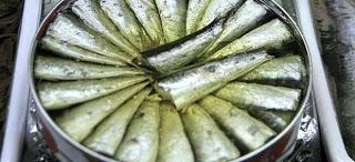 Una lata de sardinas llamada Hospitalet