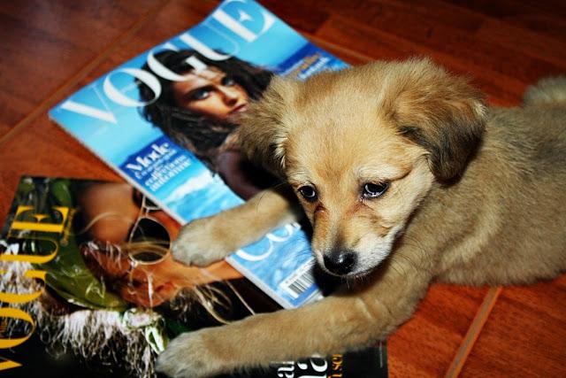 Silencio, relax y lecturas